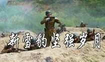 电视剧新雪豹在线观看,烽火岁月里的青春传奇