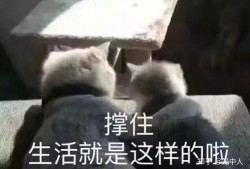 搞笑爆料新闻文案,笑料百出！盘点那些让人捧腹大笑的爆料新闻
