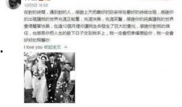 娱乐圈吃瓜ppt事件,揭秘幕后真相与影响
