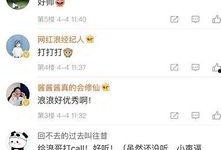 小浪最新爆料视频在线观看,揭秘娱乐圈幕后真相