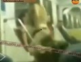 最近俄国爆料新闻视频,揭秘最新爆料视频背后的真相