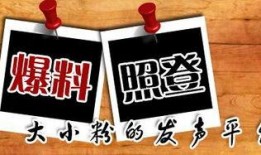 新闻爆料满天飞,真相探寻任重道远