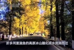 娱乐吃瓜君17集,揭秘娱乐圈背后的惊人真相