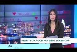 云安电视台爆料新闻直播,最新热点事件深度解析