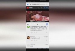 咸鱼小汉堡爆料视频大全,揭秘幕后故事与精彩瞬间