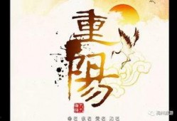 养生之道爆料视频大全集,视频大全集精华汇总